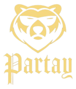Partay - Vibe Partner